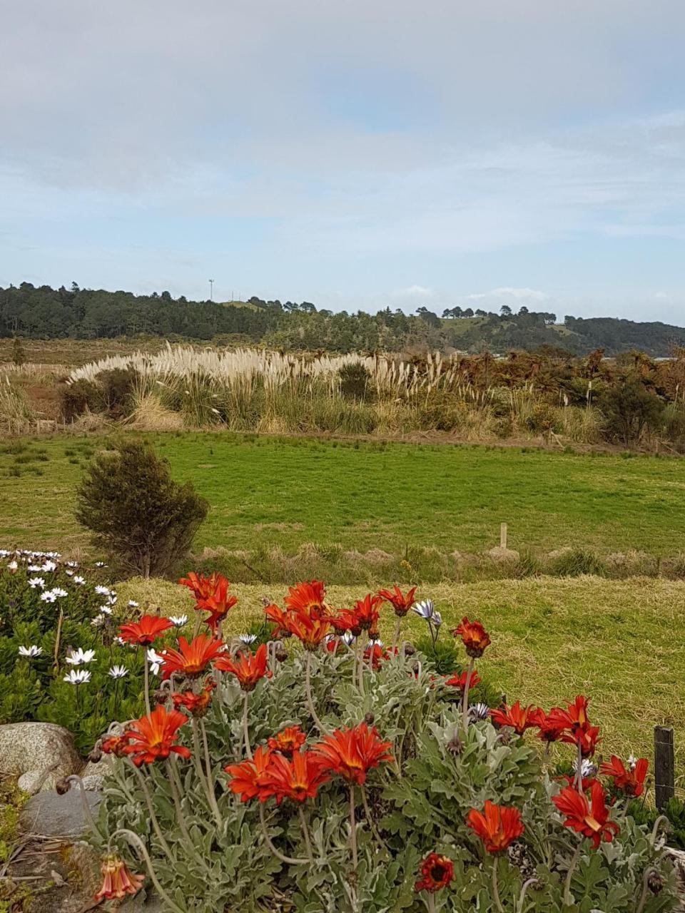 The Little Farm Coromandel Hotel Екстериор снимка