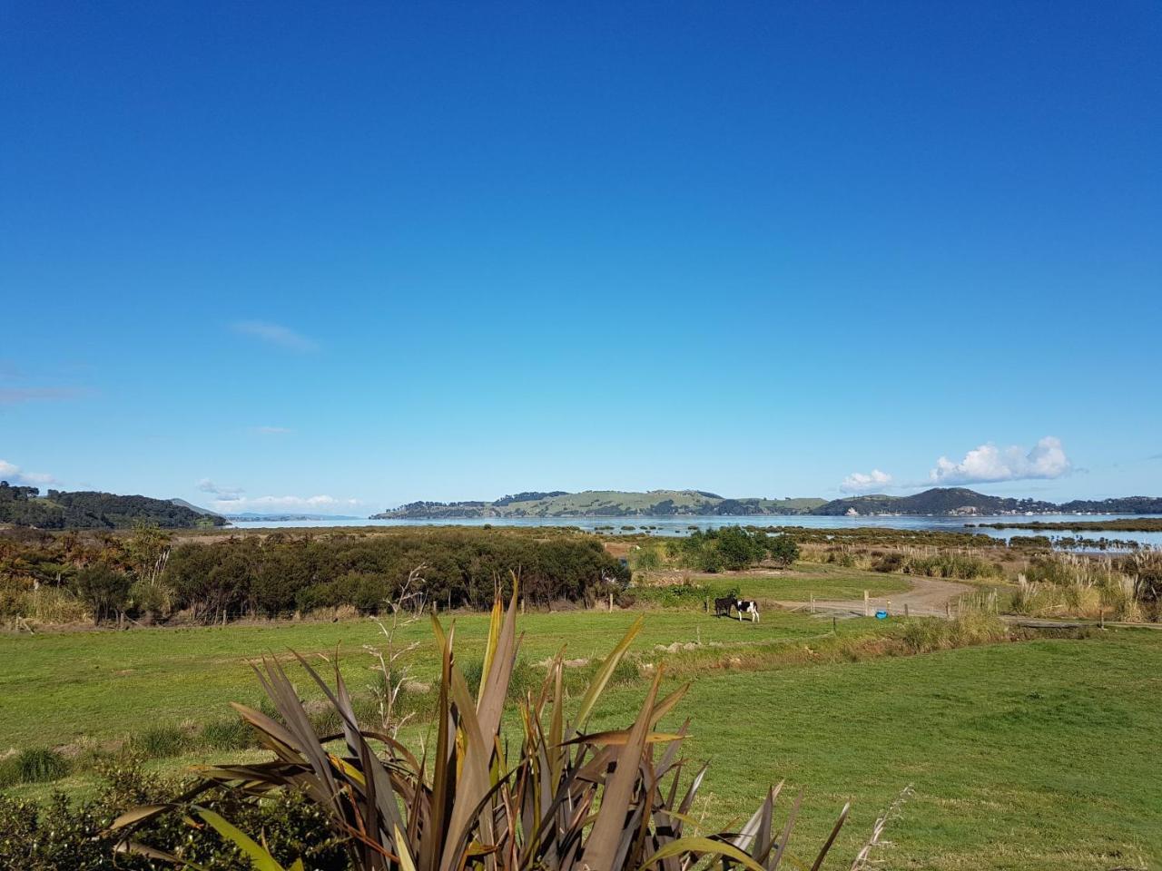 The Little Farm Coromandel Hotel Екстериор снимка